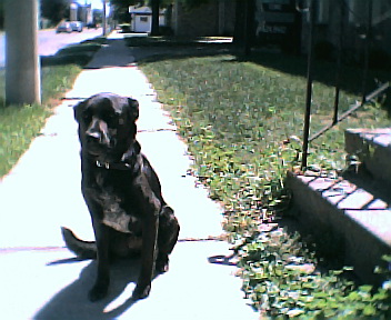 pic001.jpg